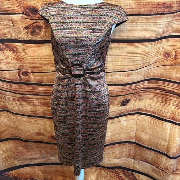 David Meister Dresses & Skirts - David Meister Womens Multi Colored Bodycon Sleeveless Sheath Dress Size 6